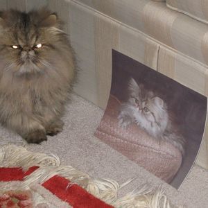 Meet your Posher, Fred